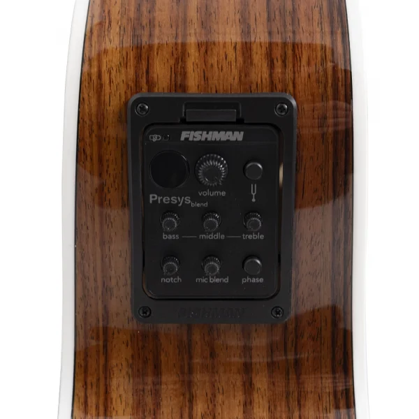 TYMA TG-12 CE PSY-301 Grand Auditorium Elektro Akustik Gitar