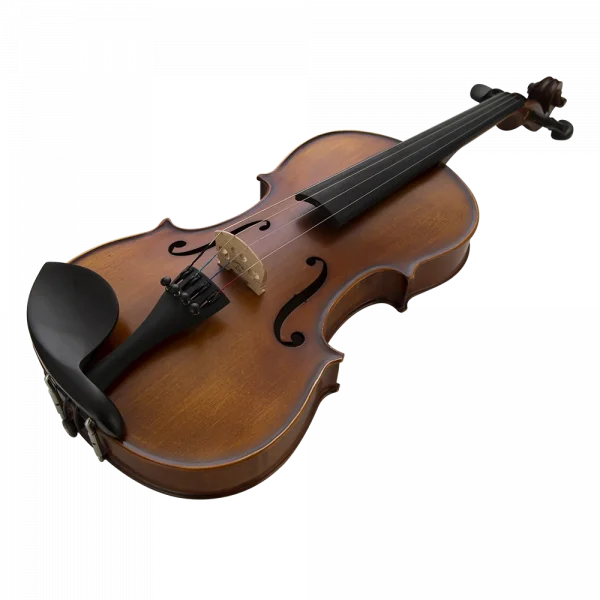 VANETTA VL-5 Masif Keman  1/2 (Abanoz Burgu ve Aksam)