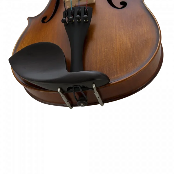 VANETTA VL-5 Masif Keman  1/2 (Abanoz Burgu ve Aksam)