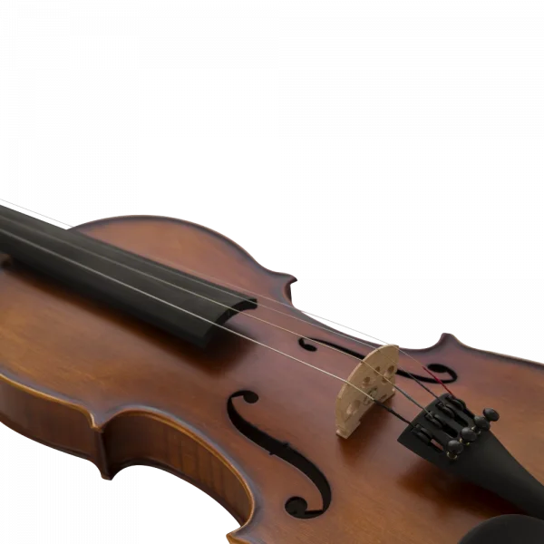 VANETTA VL-5   Masif Keman 3/4 (Abanoz Burgu ve Aksam)