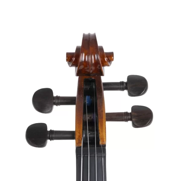 VANETTA VL-5 / 4/4 Masif Keman (Abanoz Burgu ve Aksam)