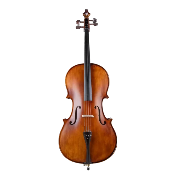 VANETTA WN-21 3/4 Masif Ağaç Abanoz Aksam Çello