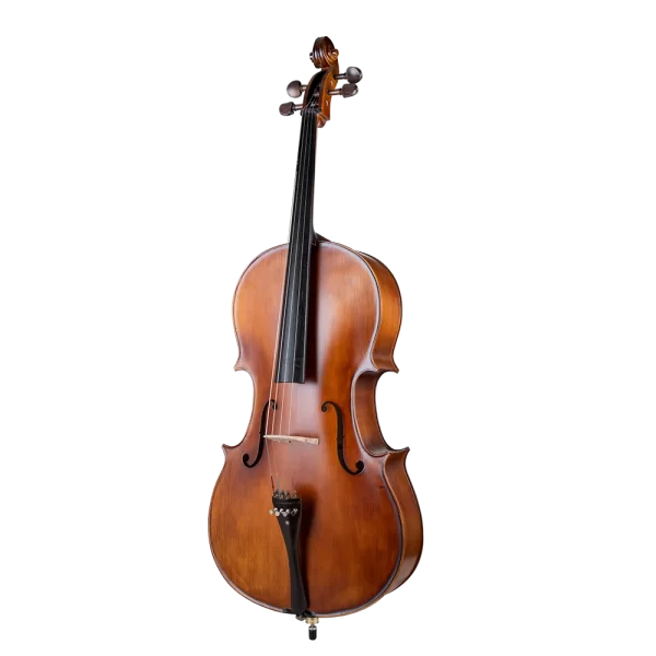 VANETTA WN-22 4/4 Masif Ağaç Abanoz Aksam Mat Cilalı Çello