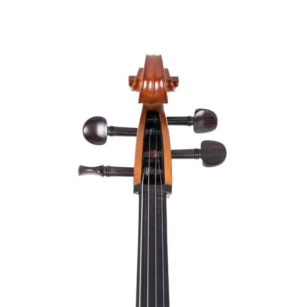 VANETTA WN-23 /  4/4 Çello