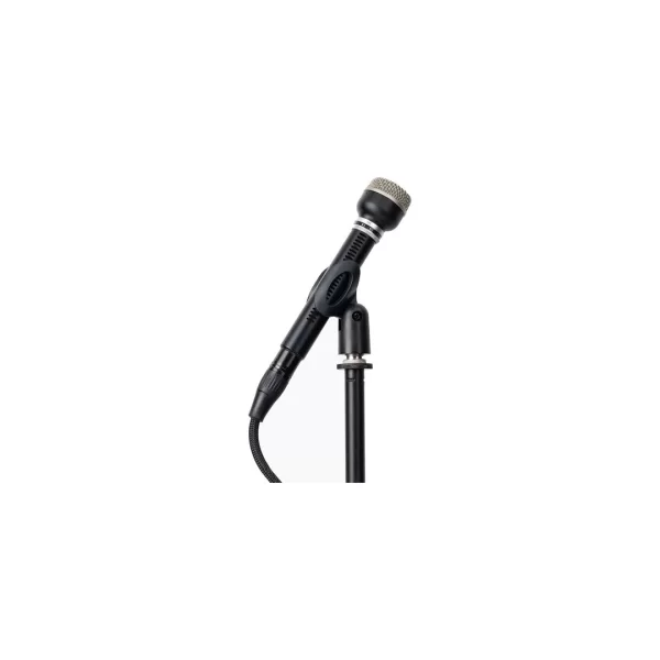 Warm Audio WA-19 Dinamik Stüdyo Mikrofonu