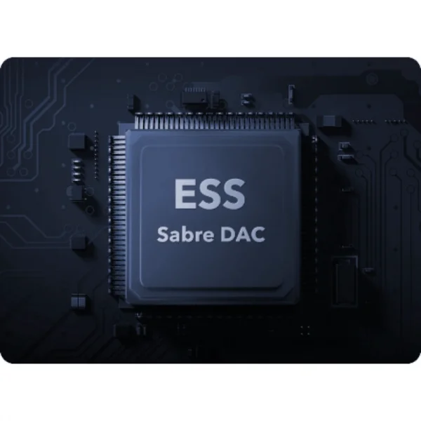 WiiM AMP PRO Entegre Amplifikatör