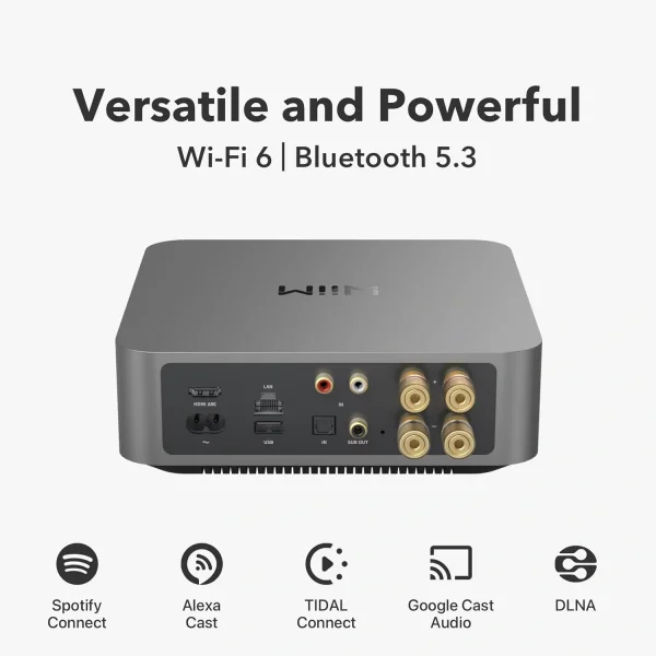 Wiim AMP PRO Amfi + Streamer