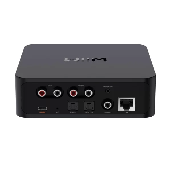 Wiim PRO PLUS Streamer