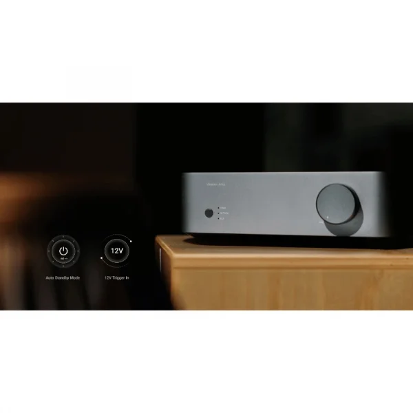 WiiM Vibelink Entegre Amplifikatör