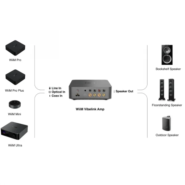 WiiM Vibelink Entegre Amplifikatör