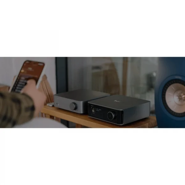 WiiM Vibelink Entegre Amplifikatör