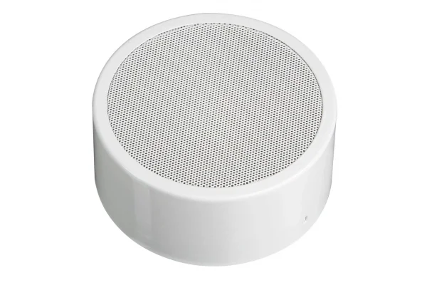 Honeywell 582423 10 W 6 round wall or tavan surface mount Hoparlör, metal