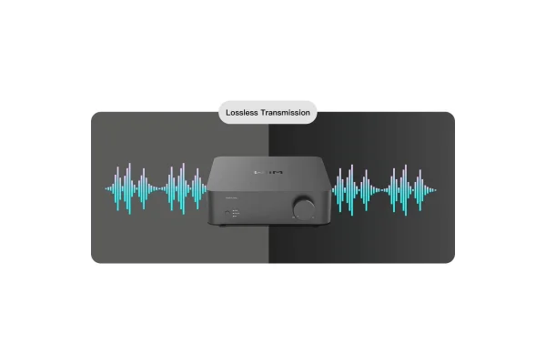 WiiM Vibelink Entegre Power Amfi