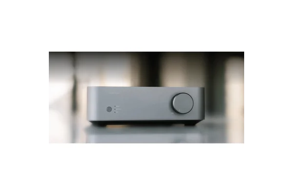 WiiM Vibelink Entegre Power Amfi