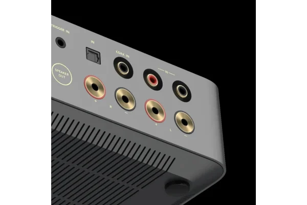 WiiM Vibelink Entegre Power Amfi