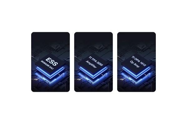 WiiM Vibelink Entegre Power Amfi