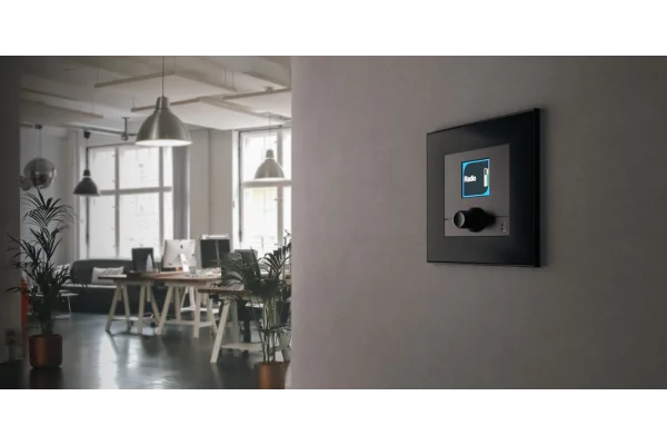 Allen & Heath IP1 Local Control Unit