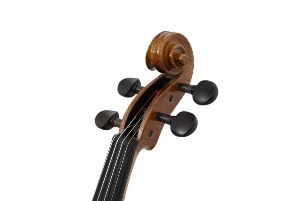 ANTON BRUCKNER V.MAESTRO XIV Keman