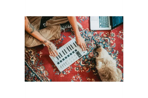 Arturia MiniLab 3 Yeni nesil 25-tuş, zengin içerikli MIDI konrolcü