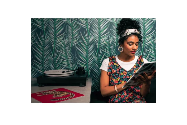 Audio Technica AT-LP 5X Direct Drive Pikap