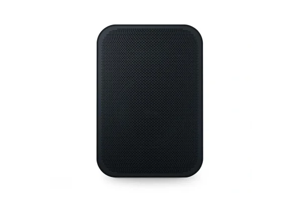 Blue Sound Flex 2i Taşınabilir Kablosuz Hoparlör