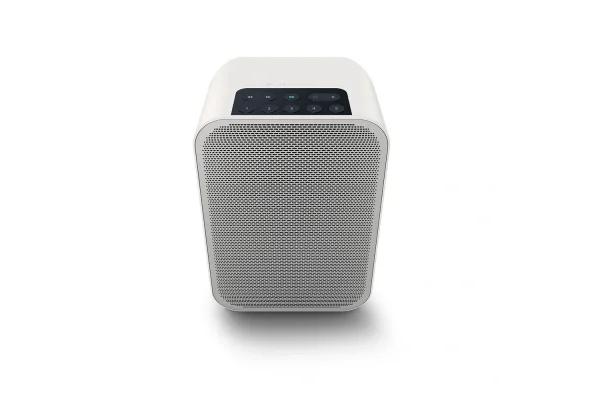 Blue Sound Flex 2i Taşınabilir Kablosuz Hoparlör