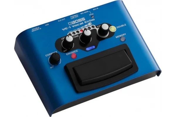 BOSS VE-1 Vocal Echo