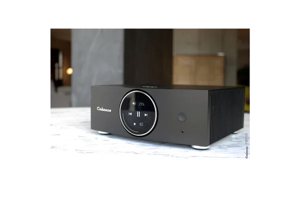 Cabasse Abyss Wifi Stream Entegre Power Amfi
