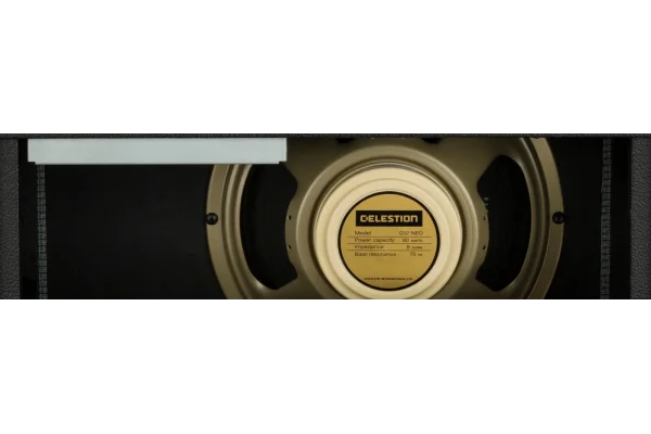 Fender 68 Custom Pro Reverb Gitar Amfisi