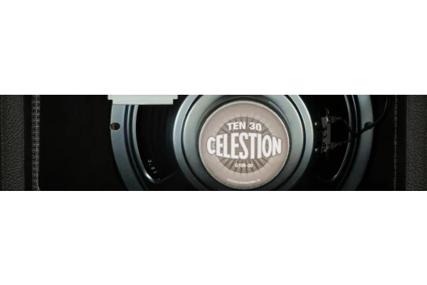 Fender 68 Custom Vibro Champ Gitar Amfisi