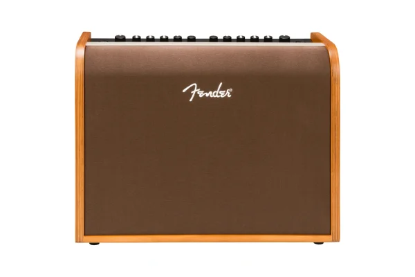 Fender Acoustic 100 Akustik Gitar Amfisi