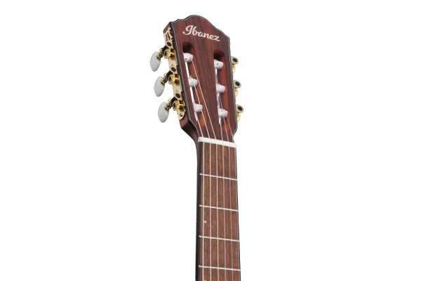 Ibanez FRH10N-IBF Thinline Elektro Klasik Gitar