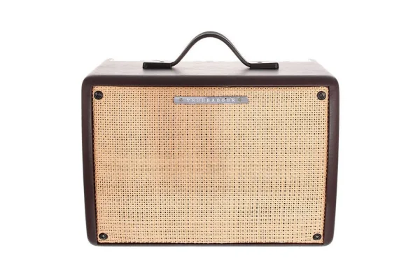 Ibanez T30II-U Akustik Gitar Amfisi