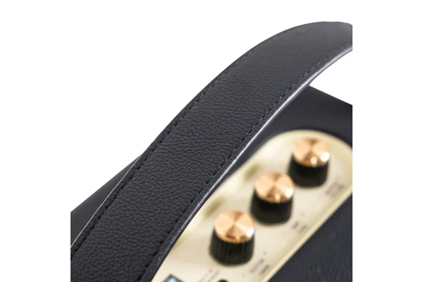 KOZMOS Blaze-30BK Uygulama ile Kontrol Edilebilen Elektro Gitar Amfisi ve Bluetooth Hoparlör