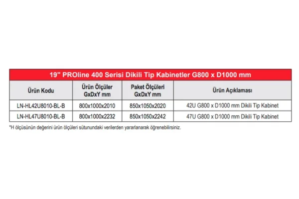 Lande 42U 800x1000 mm Dikili Tip Kabinet (LN-HL42U8010-BL-B)