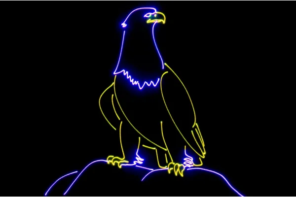 Laserworld CS-1000RGB MK3 Club Serisi 1W lık RGB Lazer Işık