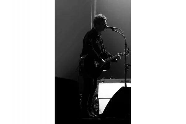 M540 Solist için Tablalı Mikrofon standı 40-cm Spiralli Boomsuz