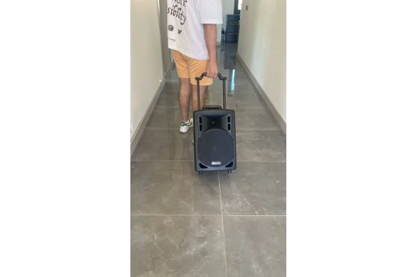 Mickle MP1010 10 Akülü Mobil Hoparlör, 300/600W 99 program Efekt, Çift Mikrofonlu