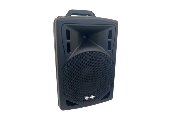 Mickle MP1010 10 Akülü Mobil Hoparlör, 300/600W 99 program Efekt, Çift Mikrofonlu