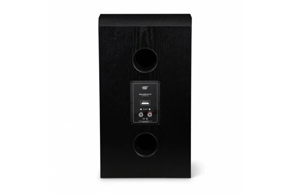 MoFi Electronics SourcePoint 10 Raf Tipi Hoparlör Black Ash