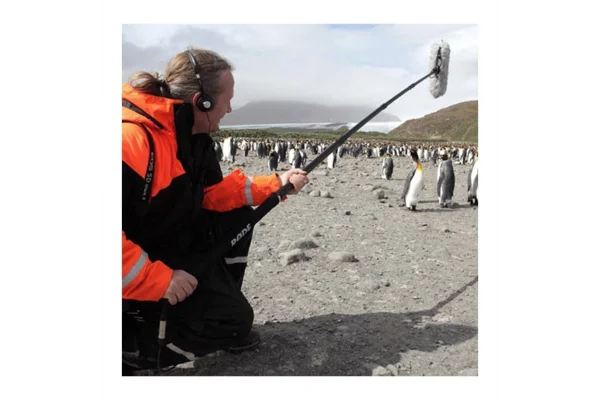 RODE Boompole 84-328 cm / 950 gr alüminyum boom pole (YENI Model)