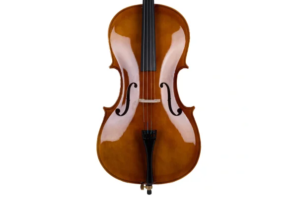 VANETTA WN-20 / 4/4 Çello