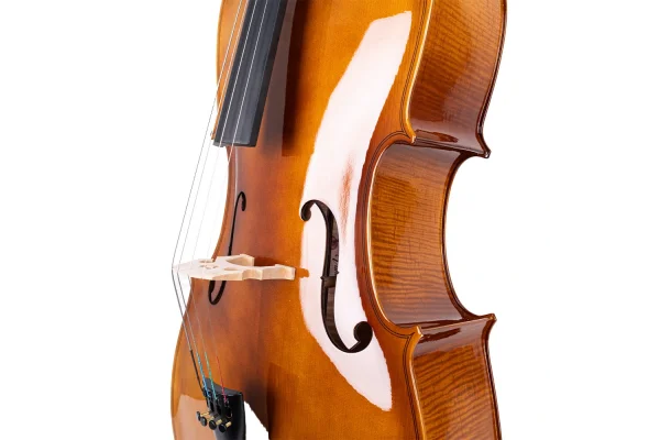 VANETTA WN-20 / 4/4 Çello