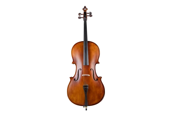 VANETTA WN-21 3/4 Masif Ağaç Abanoz Aksam Çello