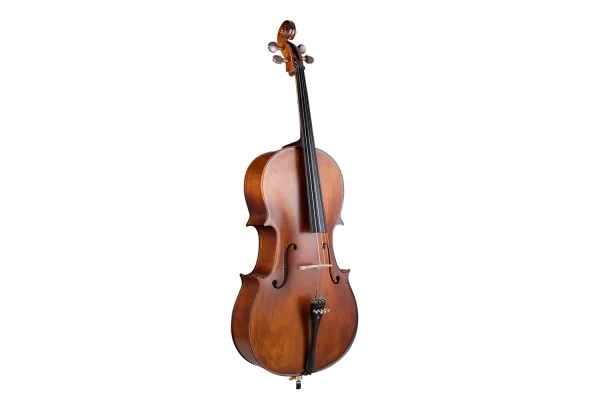 VANETTA WN-21 3/4 Masif Ağaç Abanoz Aksam Çello