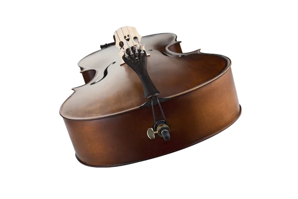 VANETTA WN-21 3/4 Masif Ağaç Abanoz Aksam Çello