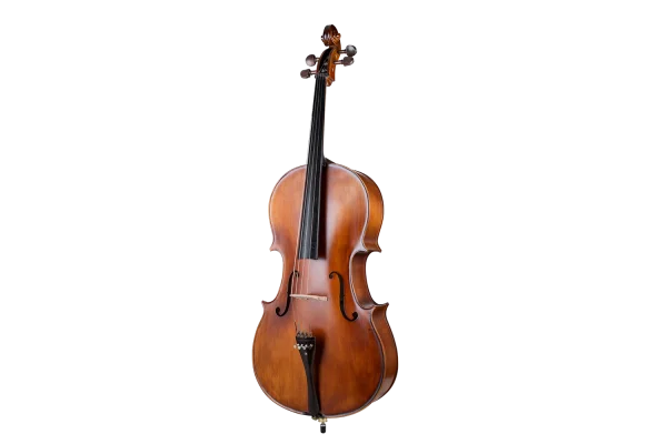 VANETTA WN-22 3/4 Masif Ağaç Abanoz Aksam Mat Cilalı Çello