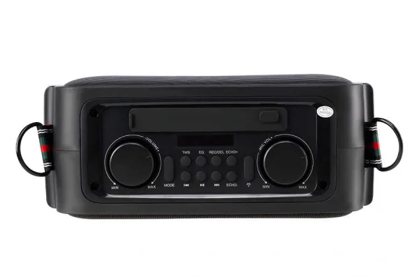 Westa WAP-500T 6 Taşınabilir Ses Sistemi | 50W Headset Mikrofonlu, Bluetooth, USB