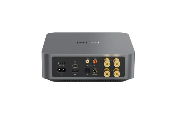Wiim AMP PRO Amfi + Streamer