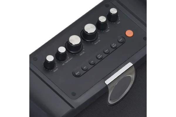 Wöller W-610EH 6 Taşınabilir Ses Sistemi | 50W Çift Kablosuz Mikrofonlu, Bluetooth, USB